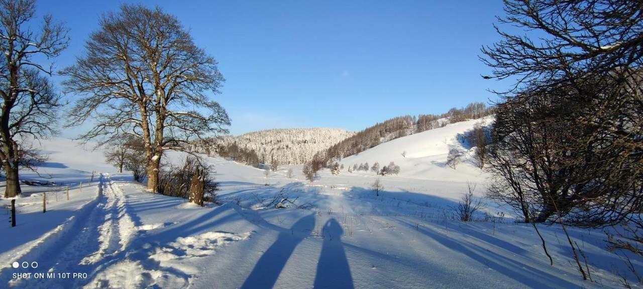 Holiday Home Moldava Екстериор снимка