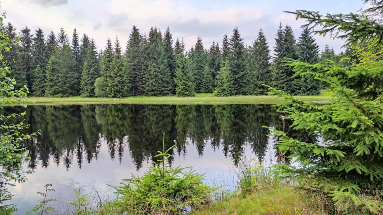 Holiday Home Moldava Екстериор снимка