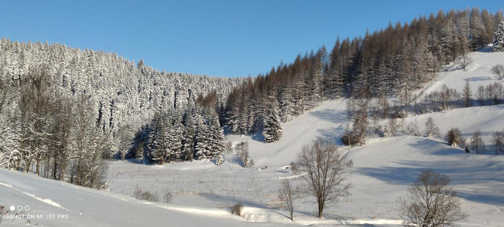 Holiday Home Moldava Екстериор снимка