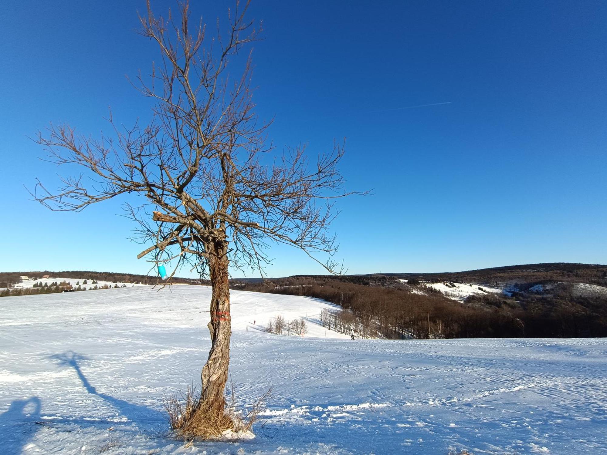 Holiday Home Moldava Екстериор снимка